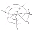 spider_silk